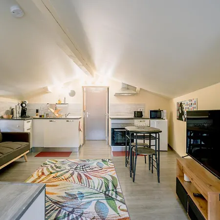 Centre Historique Et Bord Du Tarn - Clim - Unique Apartament Albi