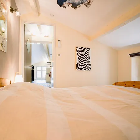 Apartmán Centre Historique Et Bord Du Tarn - Clim - Unique *