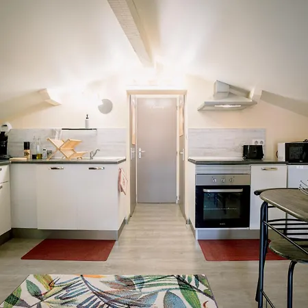 Apartmán Centre Historique Et Bord Du Tarn - Clim - Unique Albi