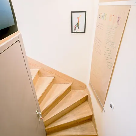 Centre Historique Et Bord Du Tarn - Clim - Unique