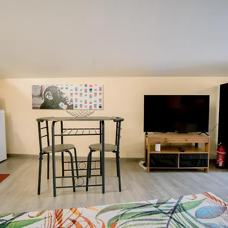 Centre Historique Et Bord Du Tarn - Clim - Unique Apartamento