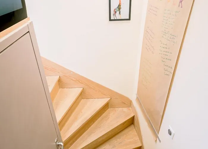 Centre Historique Et Bord Du Tarn - Clim - Unique