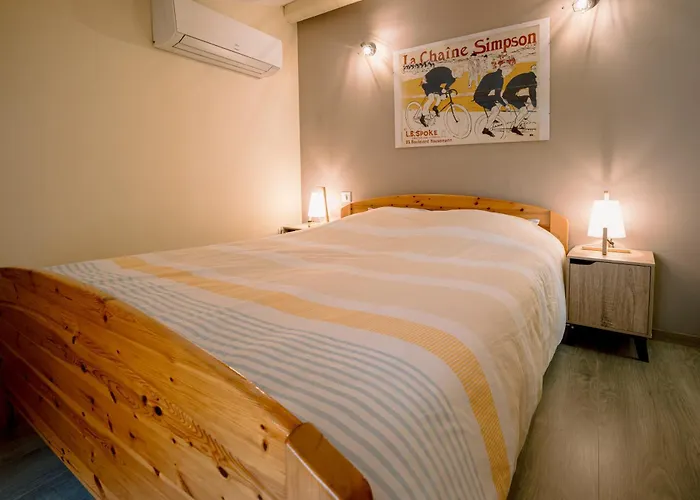 Centre Historique Et Bord Du Tarn - Clim - Unique *